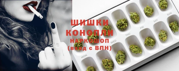 твердый Михайлов