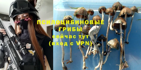 твердый Михайлов