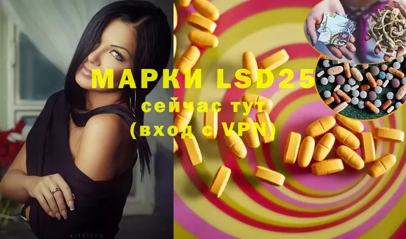 сколько стоит  кракен ссылки  LSD-25 экстази кислота  Нефтекумск 