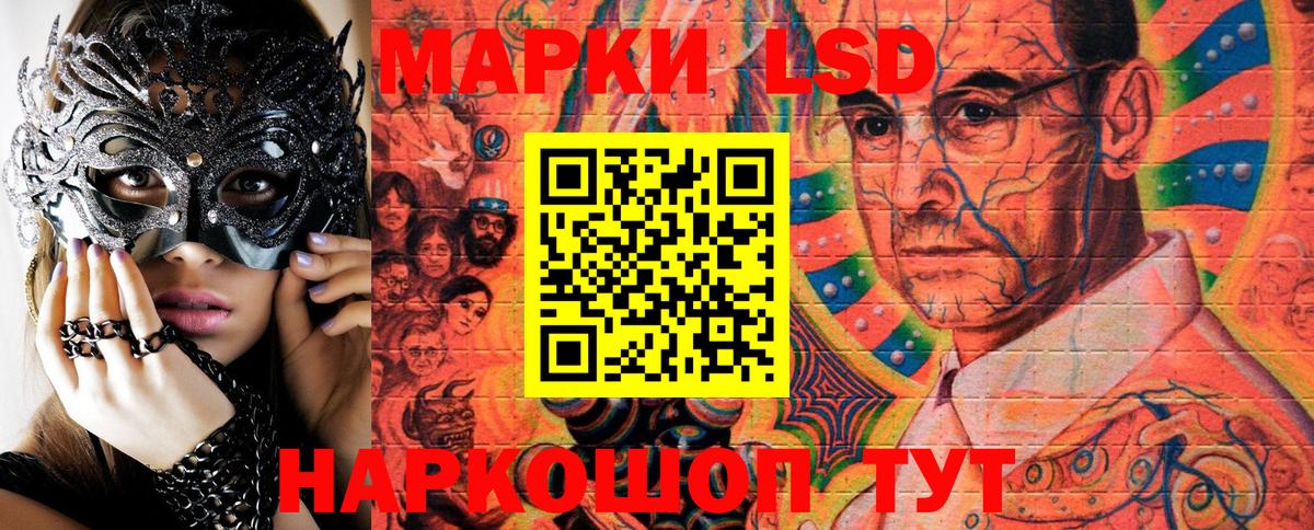купить закладку  Наркотические марки 1500мкг  Нефтекумск  Вход с VPN  Наркотические марки 1500мкг 