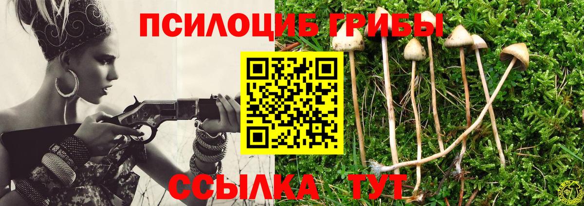 Псилоцибиновые грибы Psilocybine cubensis  Нефтекумск 