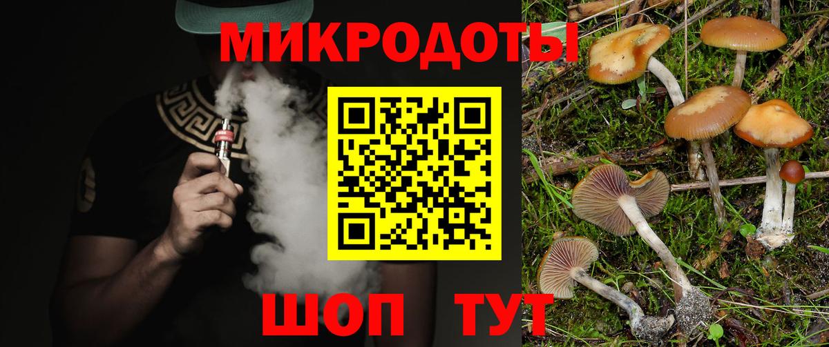 Галлюциногенные грибы Psilocybe Нефтекумск
