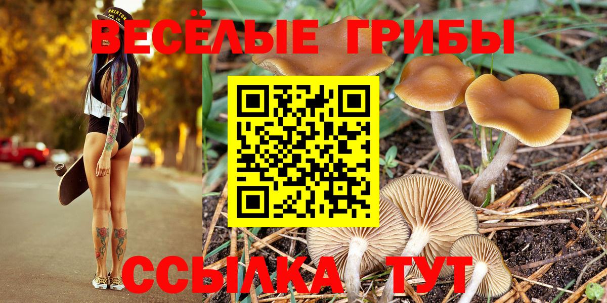 Нефтекумск  Псилоцибиновые грибы мицелий  Галлюциногенные грибы Magic Shrooms  Вход с VPN 