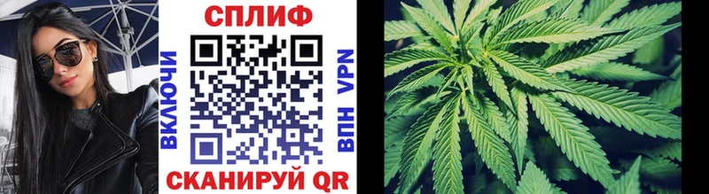 Каннабис Amnesia  Нефтекумск 