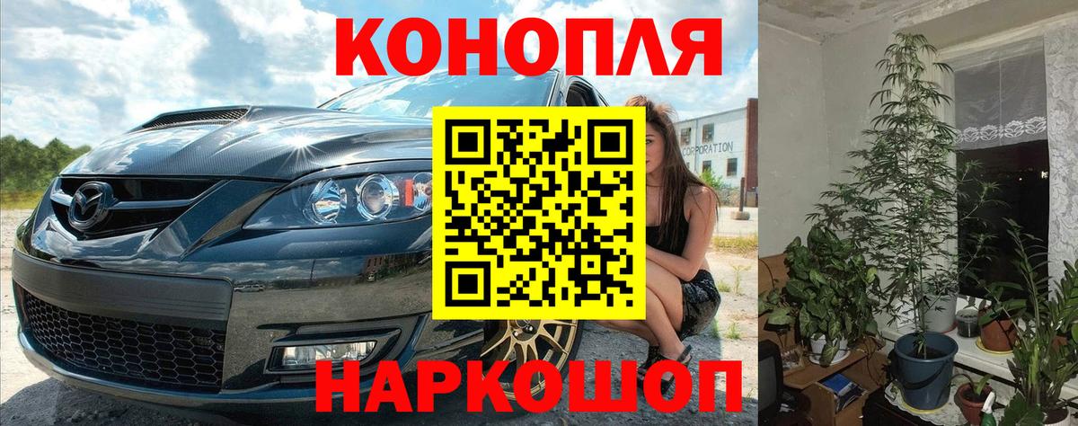 Конопля сатива  Бошки Шишки MAZAR  Канабис тримм  Вход с VPN  Нефтекумск 